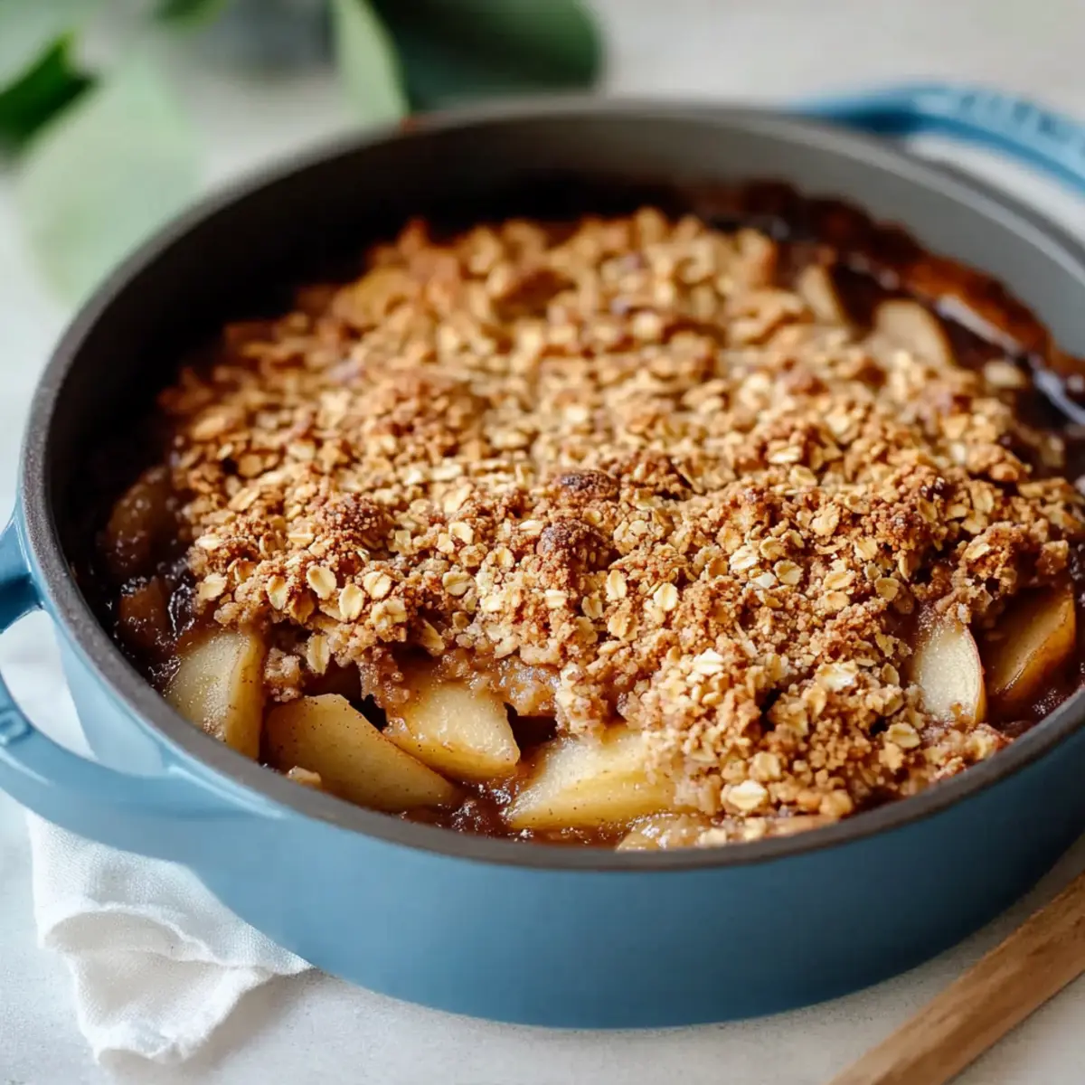Indulge in Amazing Dutch Oven Oat Apple Crisp Bliss 1